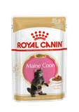 Maine Coon Kitten (gravy) 85 гр