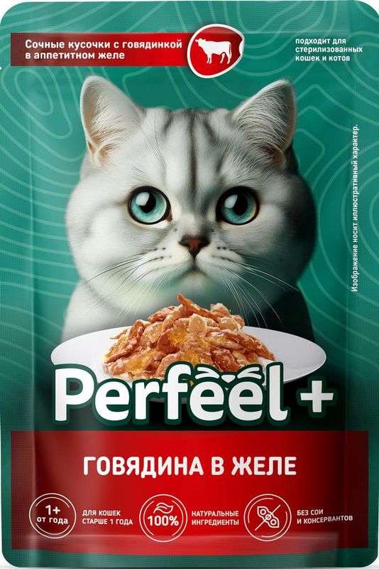 Корм консервированный для взрослых кошек с говядиной в желе 75 гр