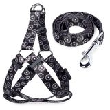 Комплект шлейка и поводок "Графит", нейлон XS