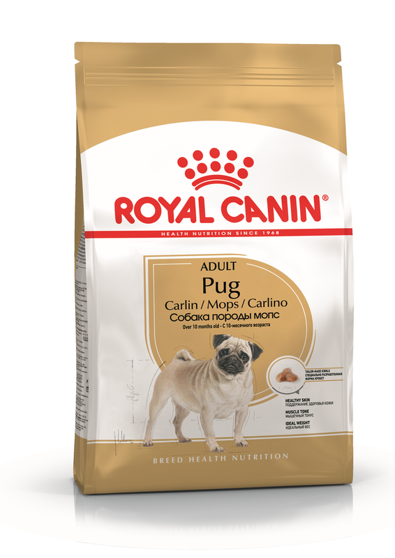 Pug Adult 1,5 кг
