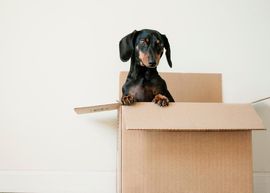 Бесконтактная доставка заказа на дом!