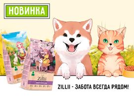 Новинка: сухие корма Zillii для собак и кошек!