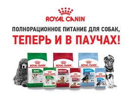 Новинка! Влажные рационы Royal Canin для собак!