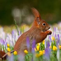 График работы в праздничные дни весны