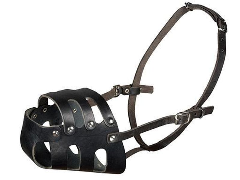 Намордник кожаный цельнокроеный №4