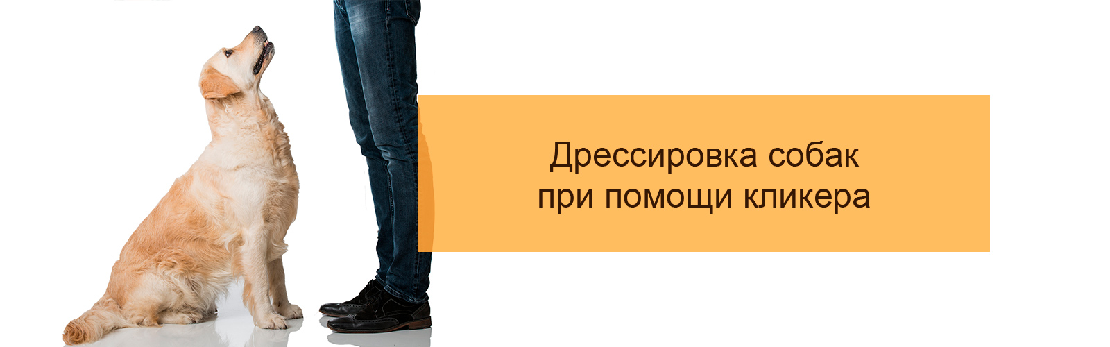 Дрессировка собак при помощи кликера - обучение без наказаний