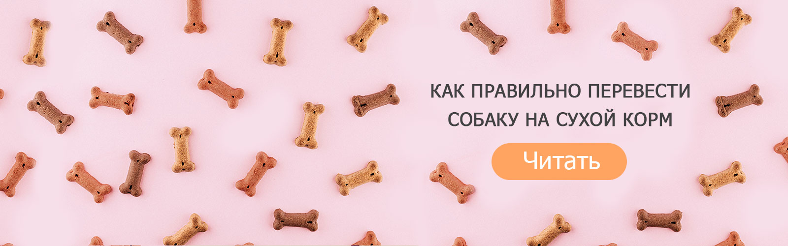 Как правильно перевести собаку на сухой корм