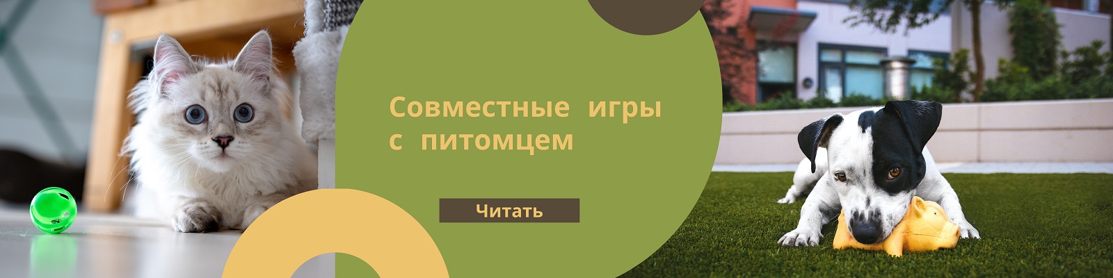 Совместные игры с питомцем