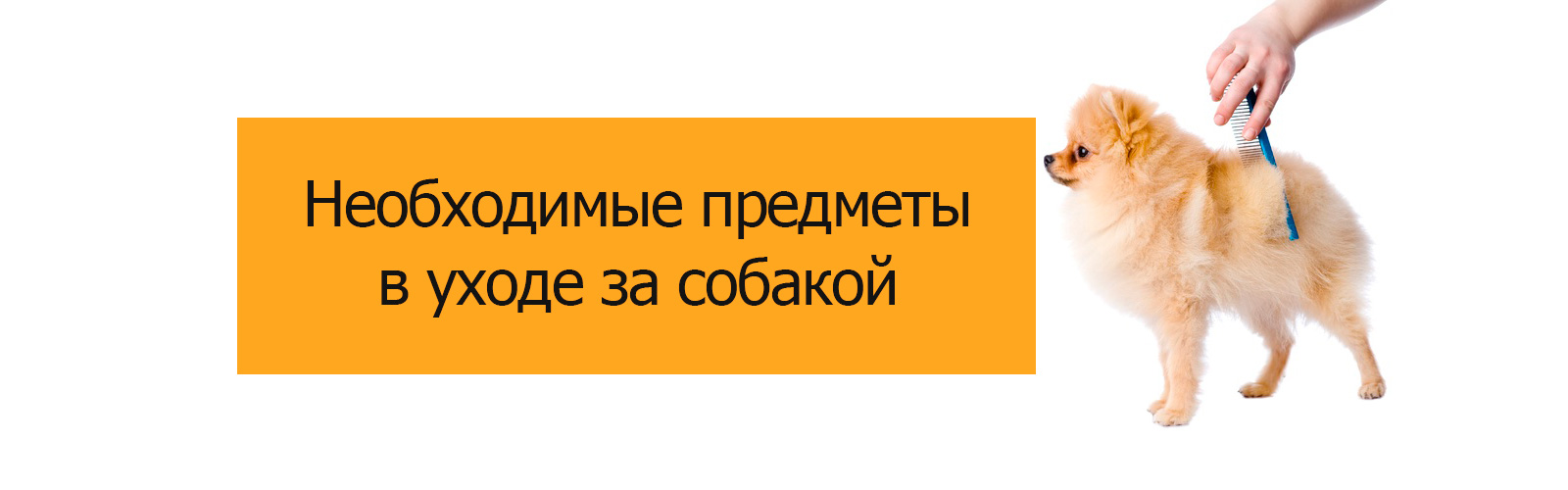 Необходимые предметы в уходе за собакой