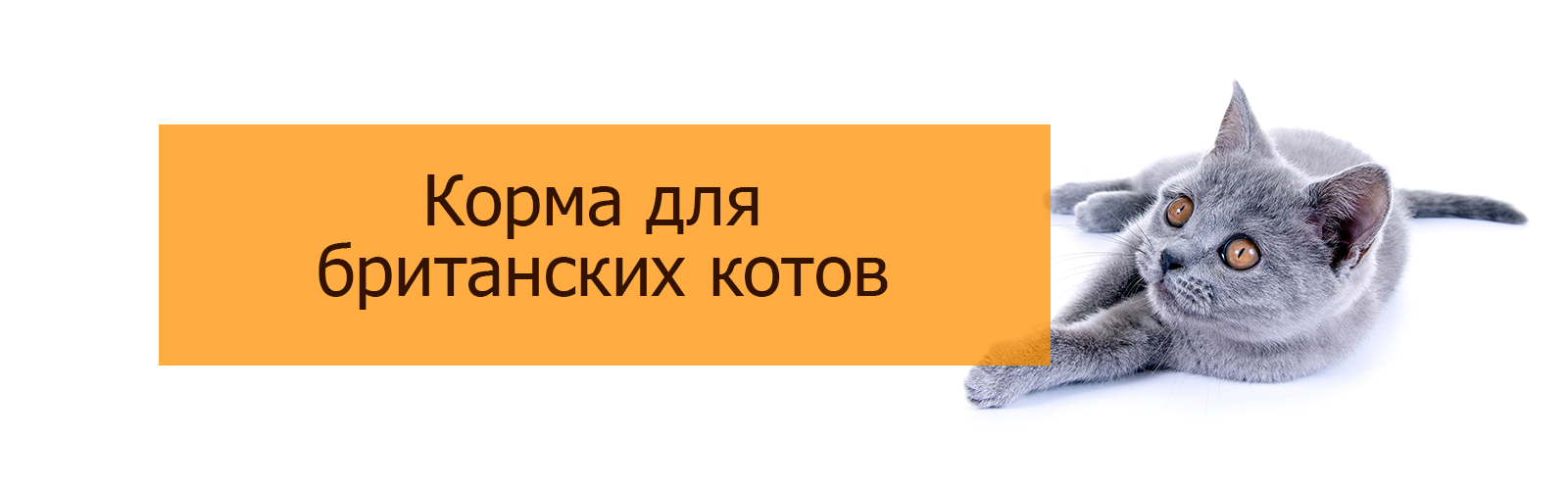 Корма для британских котов