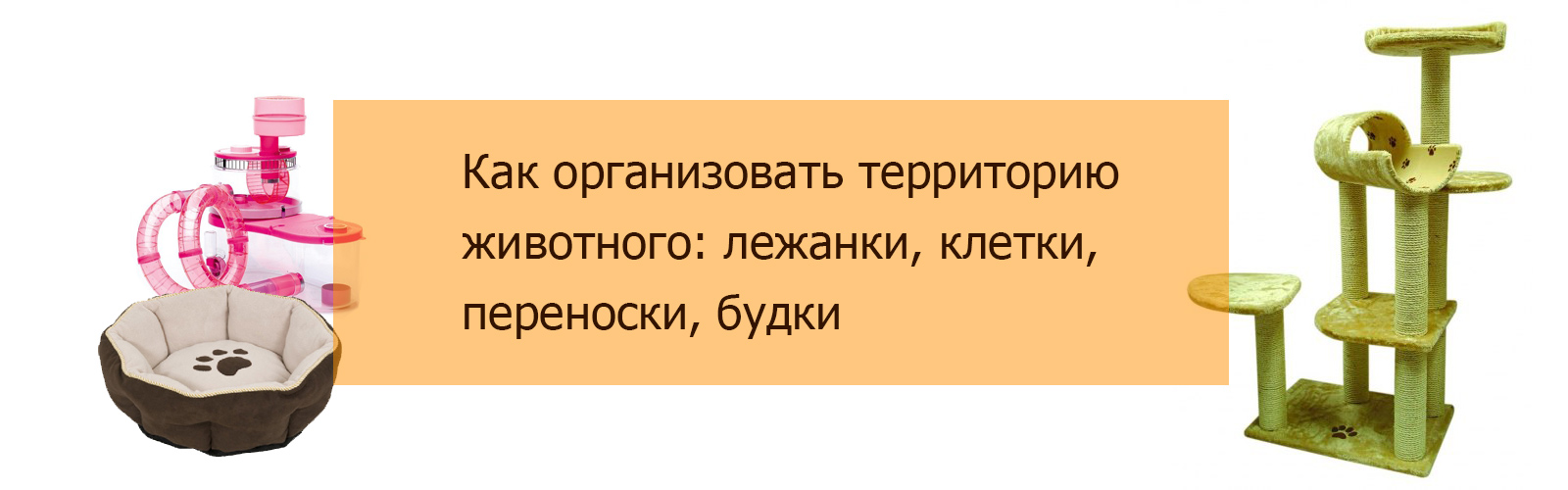 Как организовать территорию животного: лежанки, клетки, переноски, будки