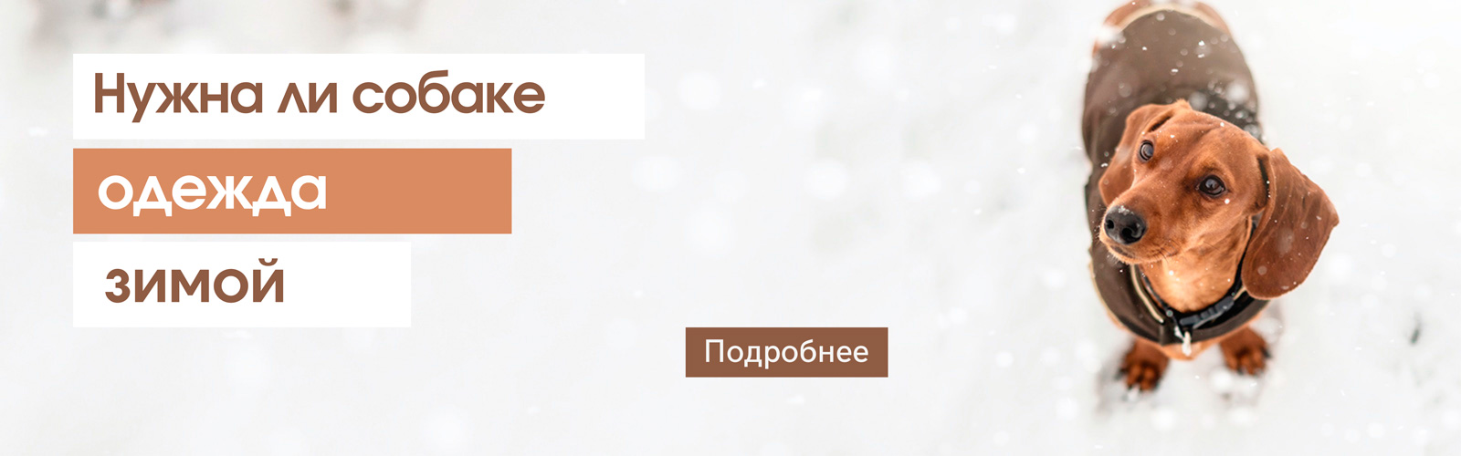 Нужна ли собаке одежда зимой