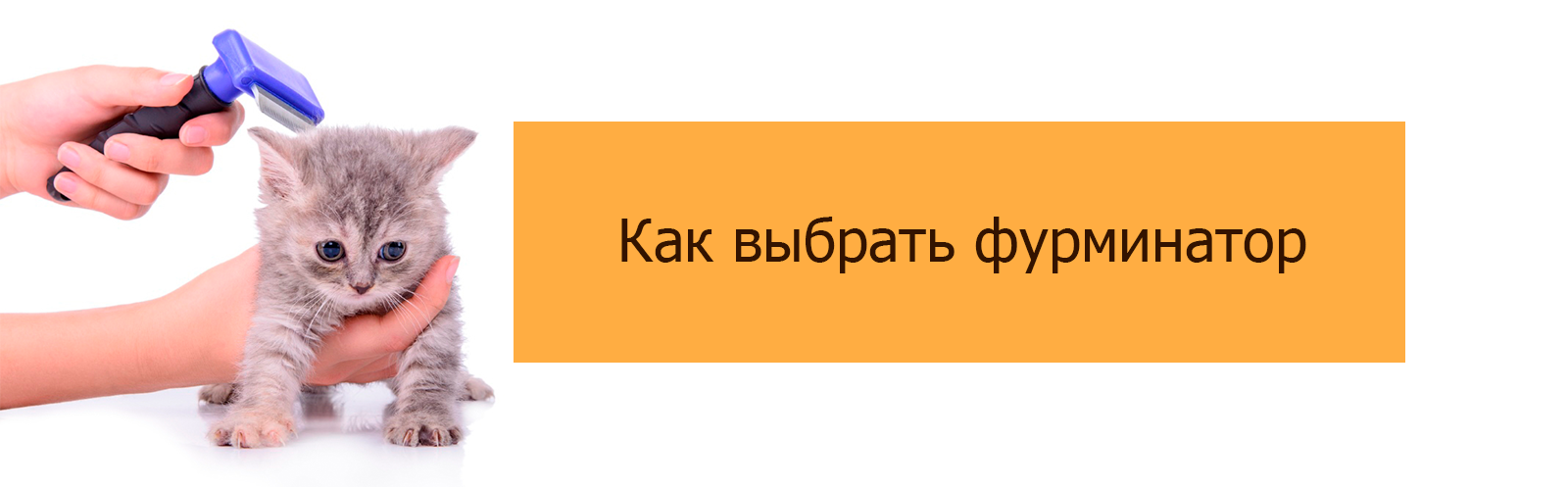 Как выбрать фурминатор