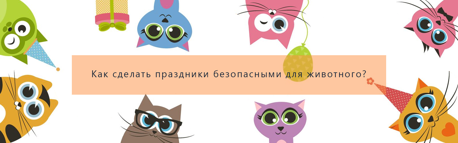 Как сделать праздники безопасными для животного